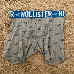Hollister Underwear Trunk (Small)